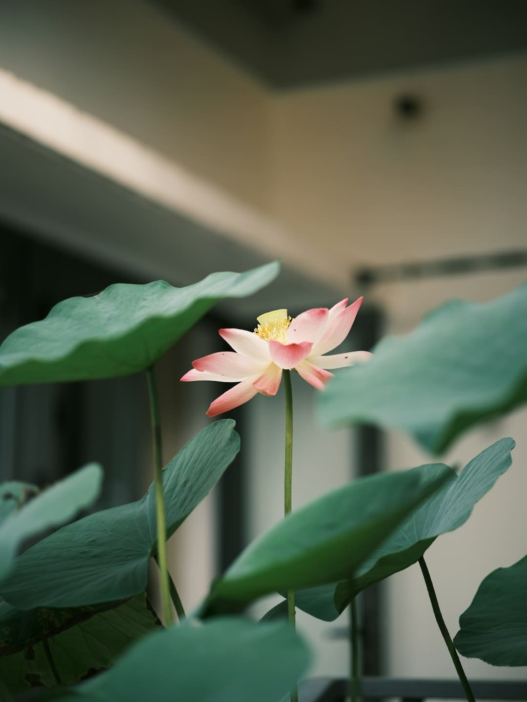 更多医疗机构将完善无障碍环境建设